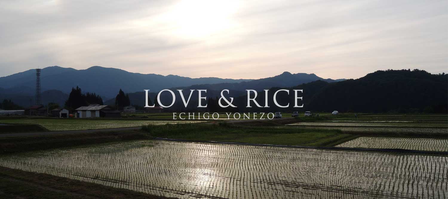 love&rice
